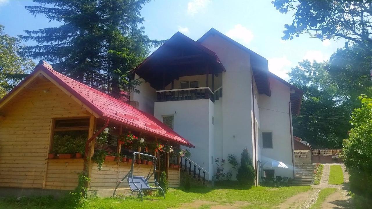Casa Krista Ξενοδοχείο Μπραν Εξωτερικό φωτογραφία