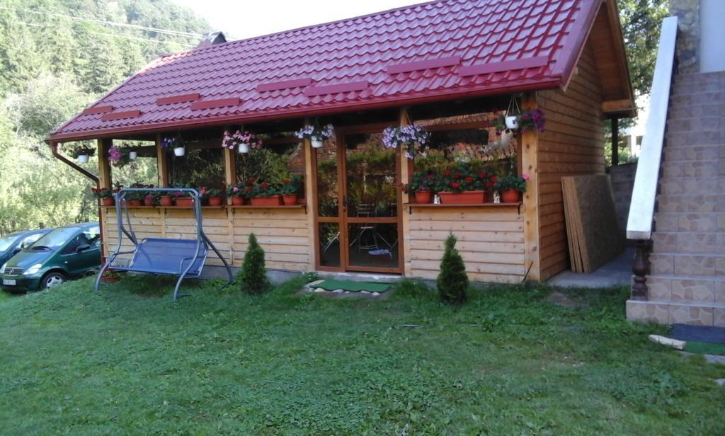 Casa Krista Ξενοδοχείο Μπραν Εξωτερικό φωτογραφία