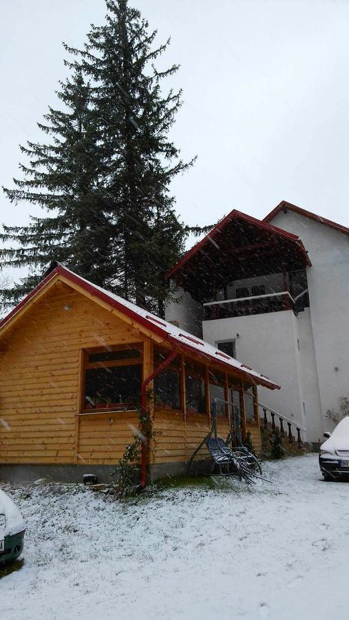 Casa Krista Ξενοδοχείο Μπραν Εξωτερικό φωτογραφία